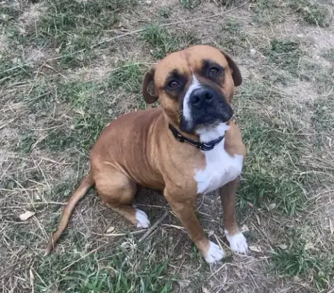 Gabriel