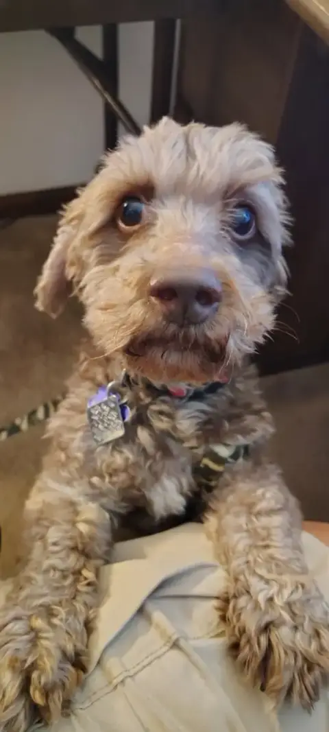 Ricky