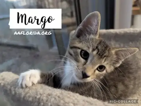 Margo photo 3