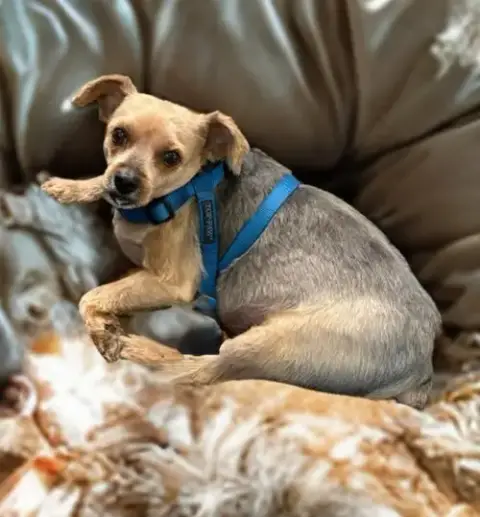 Spunky