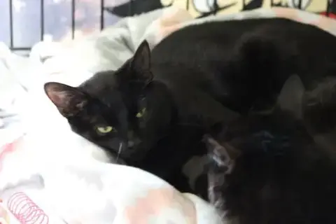Sleepy photo 2