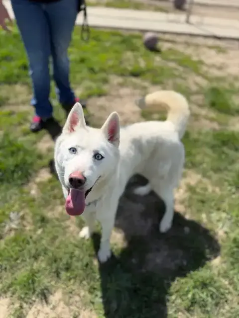 Blanca photo 2