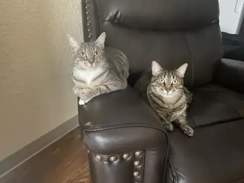 Courtesy Post: Shelby & Marty photo 2