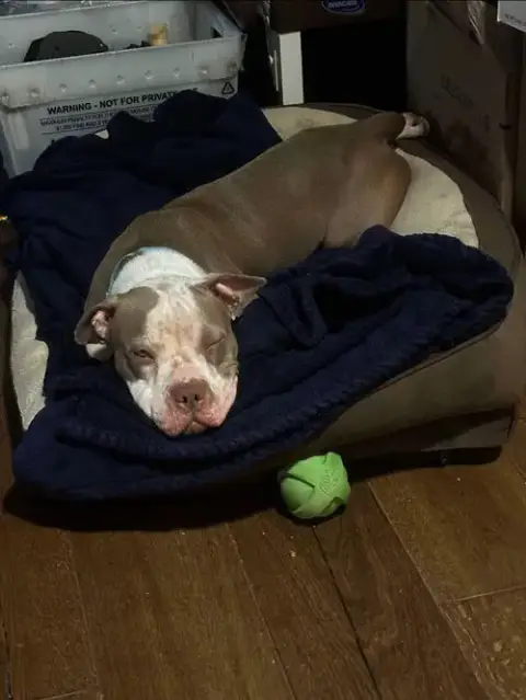 Sheila