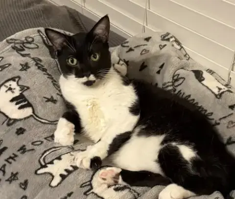 Max