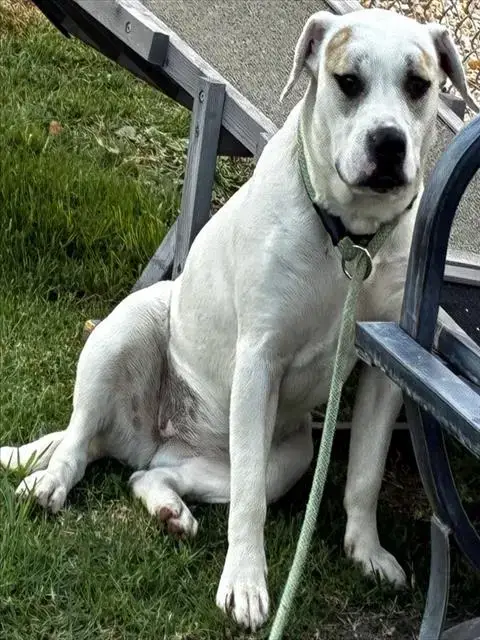 Sitka