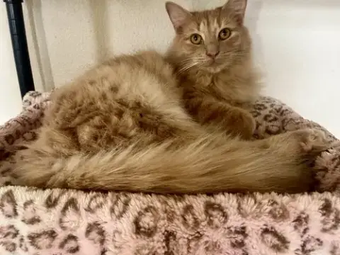 Milo photo 2