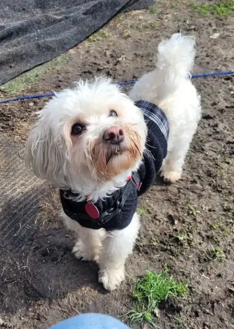 Bonnie photo 2