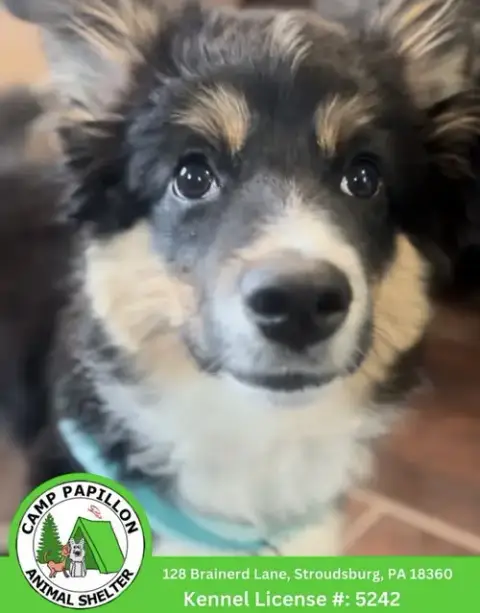 Benny