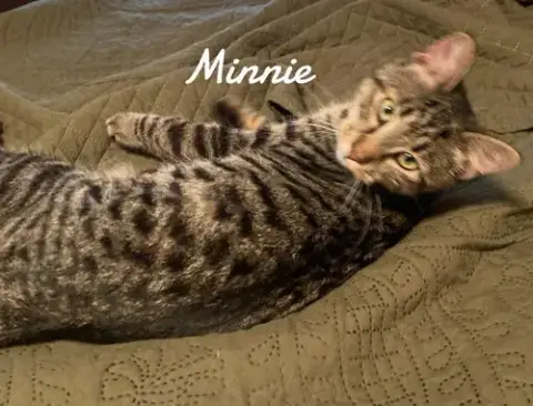 Minnie photo 3
