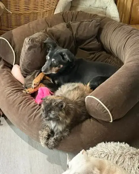 Honey photo 4