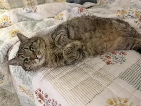 Winnie