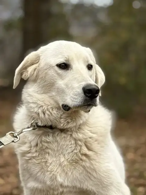 Doug photo 2