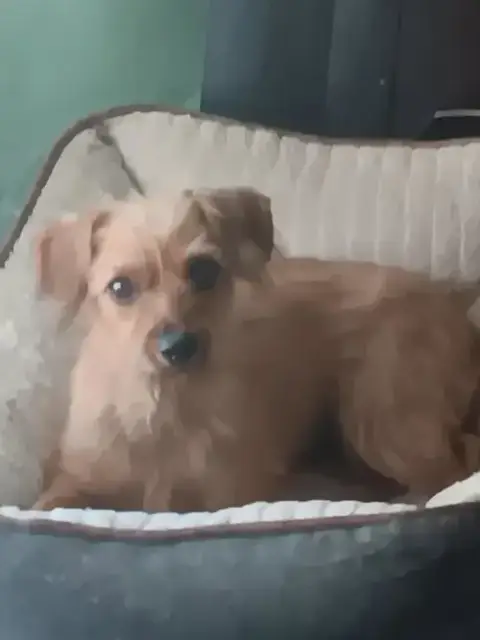 Bonnie photo 4