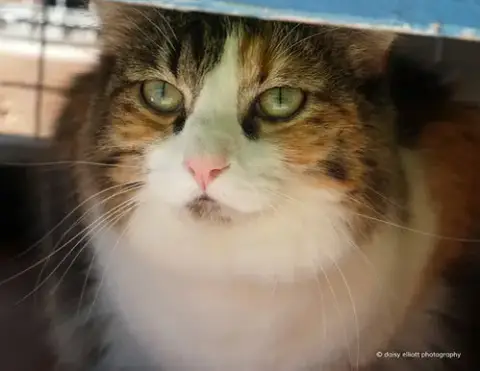 Tarah photo 2
