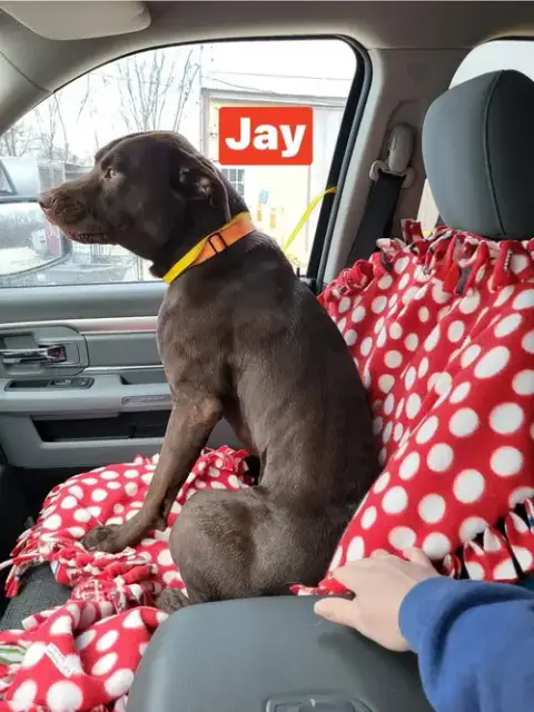 Jay photo 3