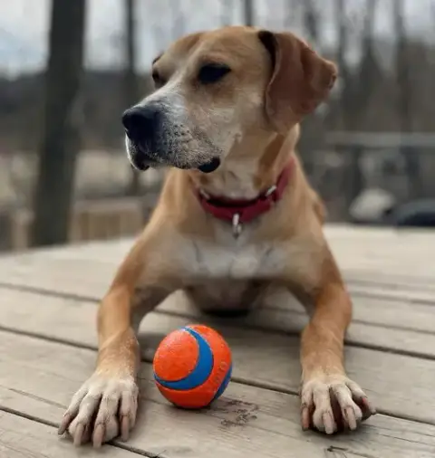 Sampson photo 3