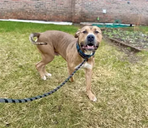 Zeus photo 3