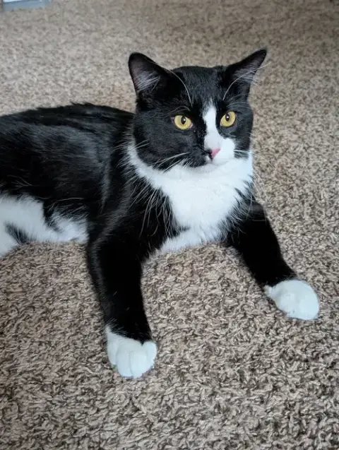 Julian