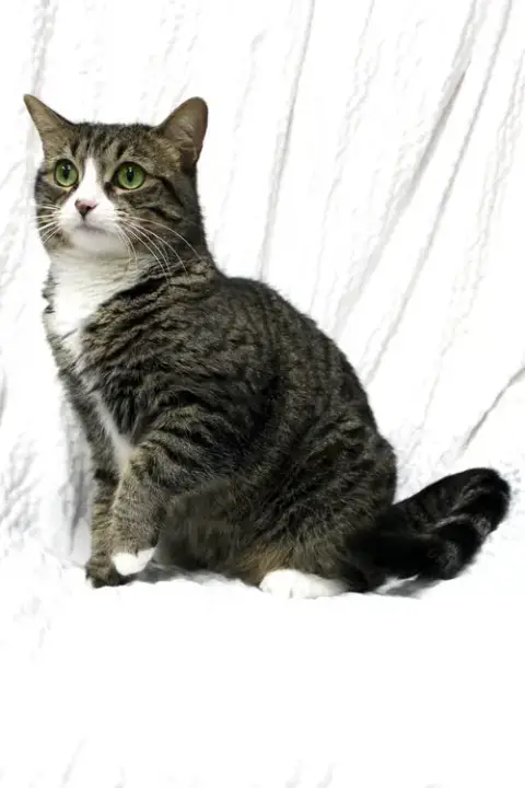 Evie photo 4