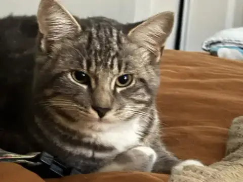 Ralph
