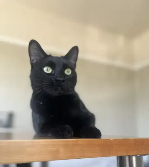 Kiki