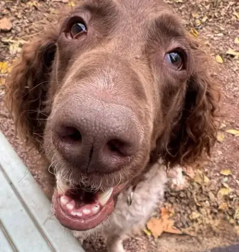 Flapjack photo 5