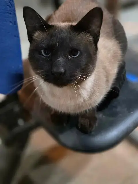 Ben