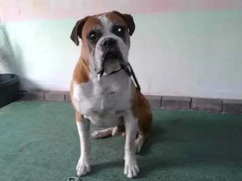 Lt