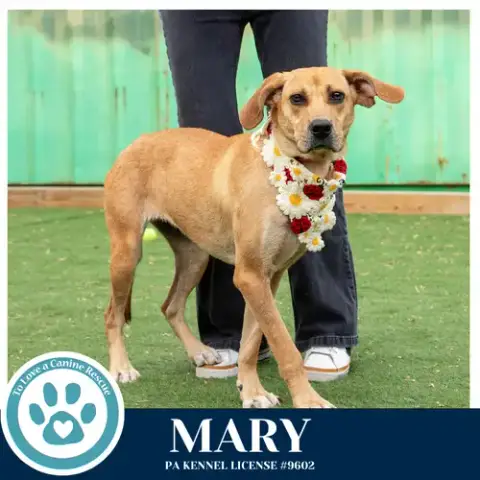 Mary 032826