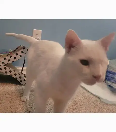 Casper