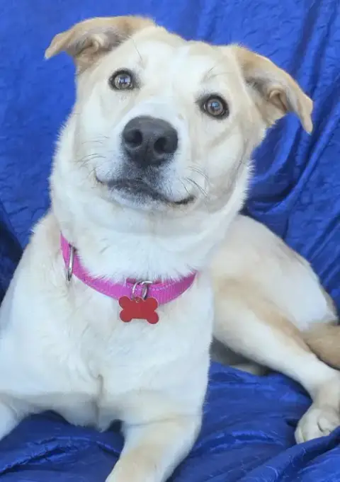 Luna