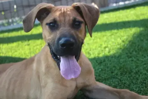 Diego