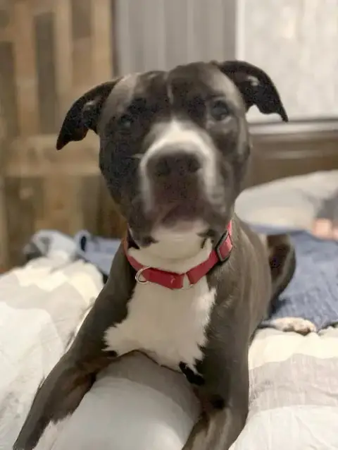 Echo: Not At The Shelter photo 4