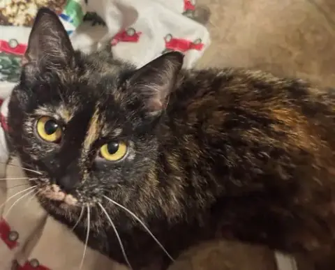 Luna