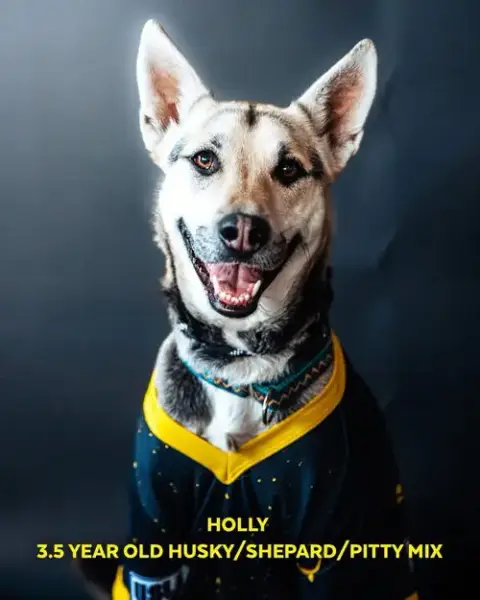 Holly