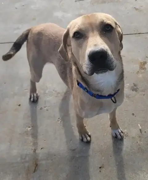Max