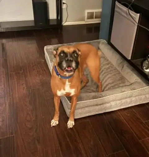 Dakota photo 4