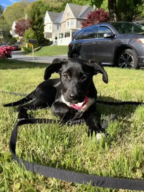 Jenny photo 4