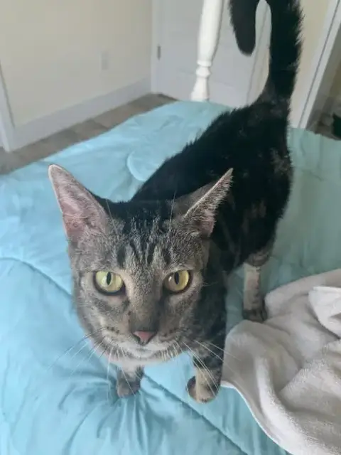 Mama-Molly Girl photo 2