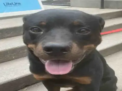 Copper