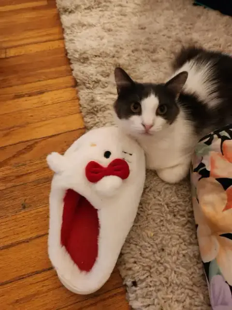 Sweetie And Milo photo 5
