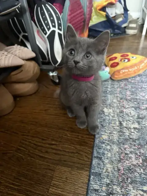 Regina