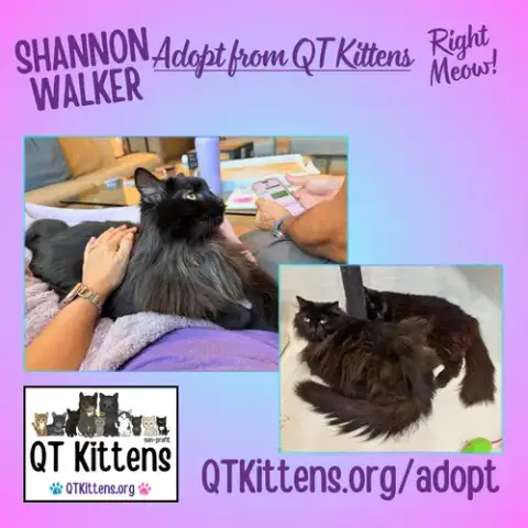 Shannon Walker photo 2