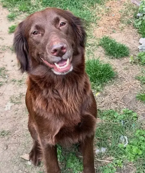 Sadie photo 2