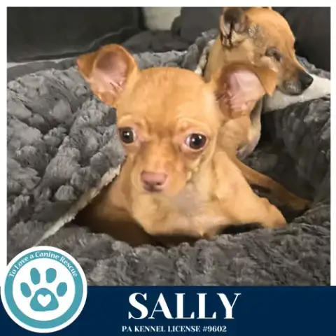 Sally 041826 photo 4