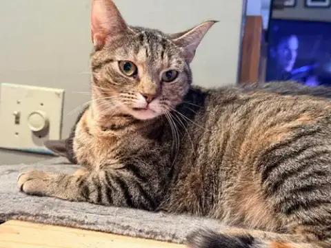 Floppy