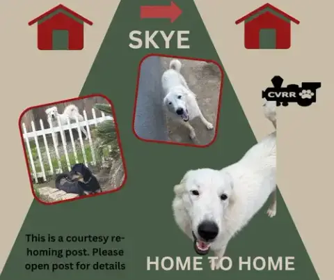 *Skye* Home To Home