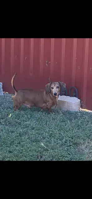 Spencer