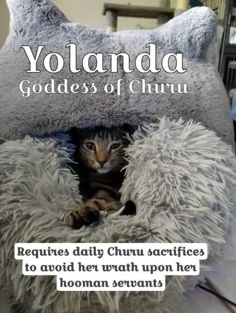Yolanda photo 3